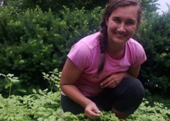 Cassie Sefton, UMass student intern plants urban garden at ALC