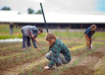 student working in field