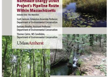 Cover of Pipeline Assessment document