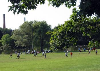 Soccer field