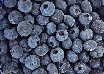 blueberries