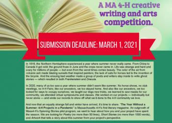 flyer for writing contest