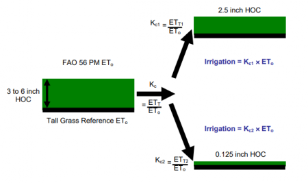 Figure 2. Reference ETo calculated using mathematical equations such as FAO-56 PM ETo are derived from meteorological data and need to be adjusted using Kc values to match the actual ETT of the turf under irrigation. Inappropriate Kc values may cause overwatering (i.e., Kc values too high) or dehydration stress (i.e., Kc values too low) for irrigated recreational turf grown under the same evaporative (climatic) conditions (i.e., same reference ETo). Crop coefficients (Kc values) need to adjust for different turf ETT caused by the effects of management.