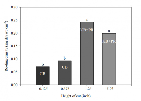 Figure 2. The effects of height of cut (HOC) on rooting density in the deepest portion of the soil profile (10 to 18 inch soil depth) measured in summer under irrigation. Deep rooting is especially sensitive to HOC and is important for acquisition of soil water under drought and irrigation. Short grass turf (creeping bentgrass, CB) mowed at greens and fairway HOC exhibited 60% less rooting density compared to taller HOC turf (Kentucky bluegrass, KB, and perennial ryegrass, PR). No significant difference in rooting density is observed between greens and fairway HOC or between taller HOC turf mowed at 1.25 to 2.50 inch. A decrease in HOC within the accepted range for the species does not necessarily diminish deep rooting in summer while lower ET rates may be observed under irrigation (see Figure 1). However, lower HOC in summer that cause significant grass thinning may inhibit rooting. Vertical bars with the same letter are not statistically different. From Poro et al. (2017).