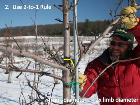 slide2pruning