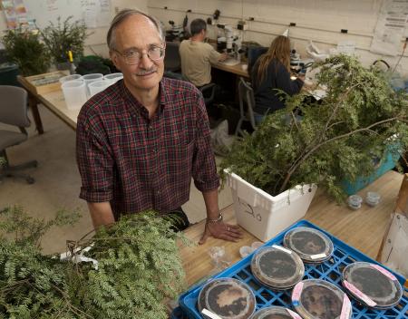 UMass Amherst entomology professor Joseph Elkinton