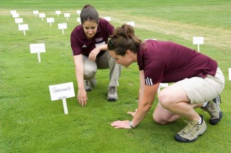 Michelle DaCosta and Lindsey Hoffman inspect turfgrass at Joseph Troll Turf Research Facility