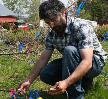 Todd Beals measures internodal lengths to check growth patterns