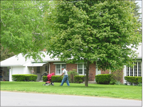 Mow at an appropriate height for the species and turf use, and mow frequently enough to observe the ‘⅓ Rule’. 