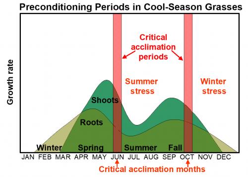 Preconditioning Periods in Cool-Season Grasses