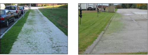 Recycle clippings into the turf canopy whenever possible.  Clippings that land on hard surfaces should be cleaned up promptly to reduce the potential for environmental impact. 