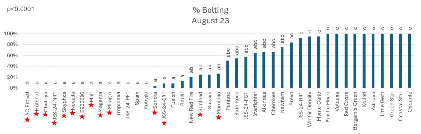  Percent bolting of lettuce varieties trialed at time of harvest.