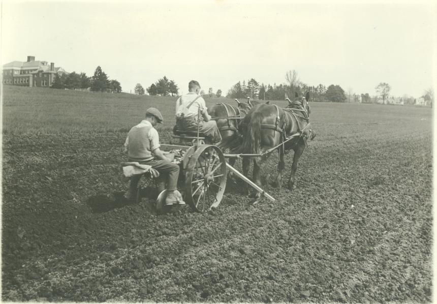 Two men planting potatoes 