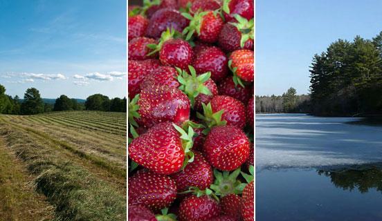 New name for the Center for Agriculture, Food and the Environment