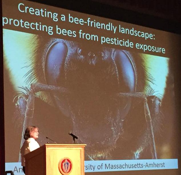 Dr. Anne Averill moderates Pollinator Health Symposium