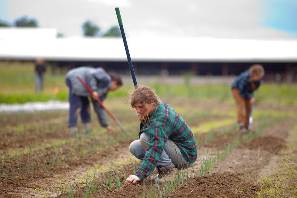 student working in field