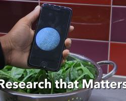 Research on Rapid Detection of Harmful Bacteria in Food and Water