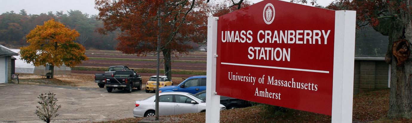 The UMass Cranberry Station