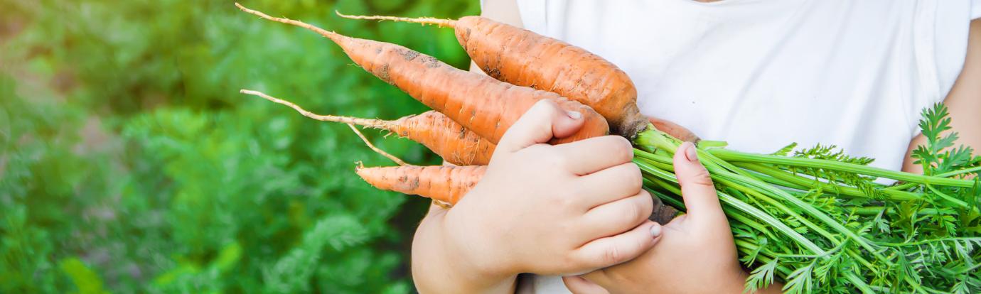child holding carrots