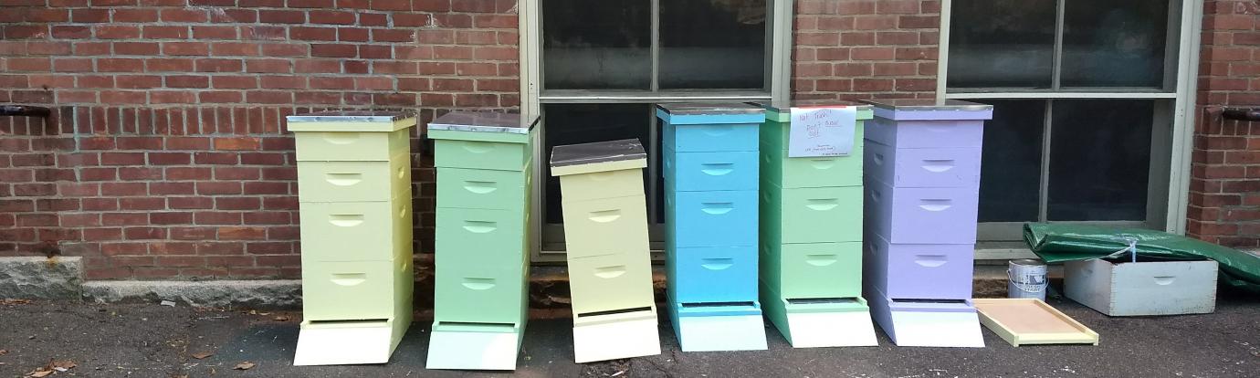 Painted Bee Hives