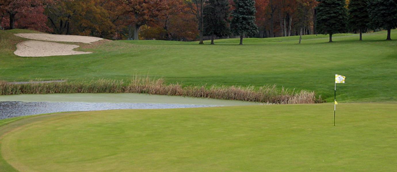 UMass Extension Turf Program